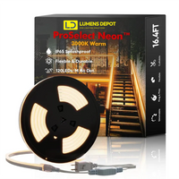 Additional Mounting Kit for 110V Single Color LED Neon Lights