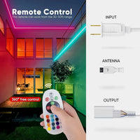 Extra Controller Pack for 110V 10x20mm RGB Eco Neon Light