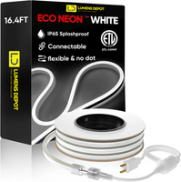 Extra 5ft Power Cord for 110V Led Neon Rope Light Super Bright