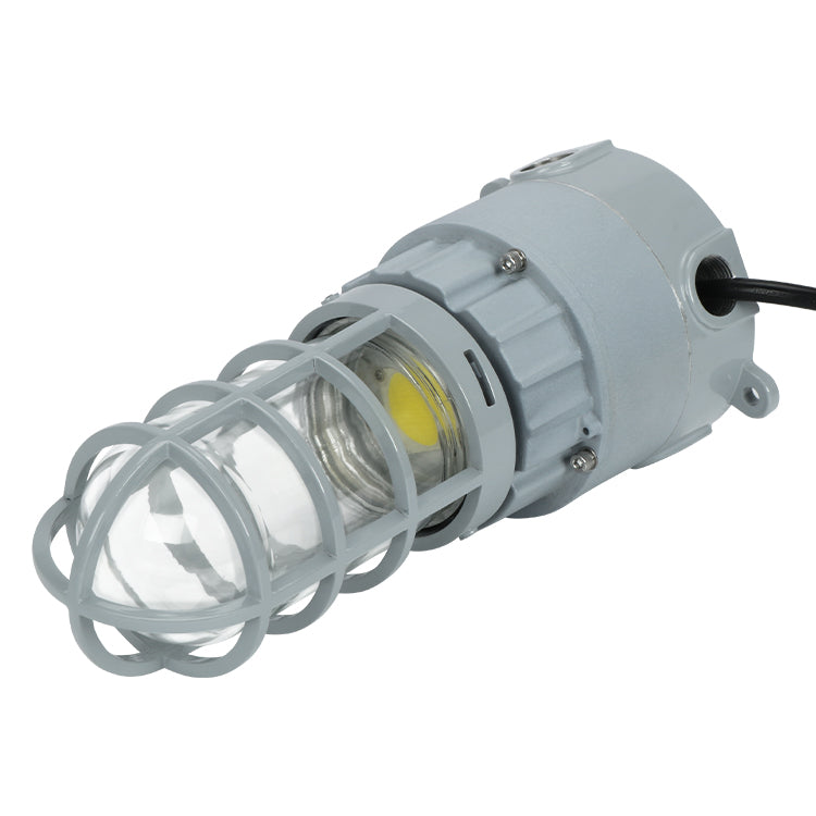 LED Explosion Proof Jelly Jar Light - 20W - 2800 Lumens - I Series, 5000K- Non Dimmable, AC100-277V - IP66 - Lumens Depot