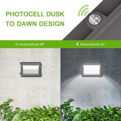 LED Wall Pack Lights