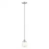 51" Pendant Light with 1*E26 Socket, 120V