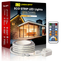 Extra Controller Kit for 110V 7x13mm Eco CCT Tunable White Strip