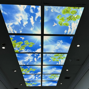 Sky Panel Banner