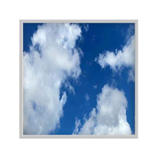 LED Ceiling Panel Light, Cloud Design, 2x2, 20W/25W/30W/35W/40W Selectable Watts, CCT 4000K-6500K, 4875 Lumens