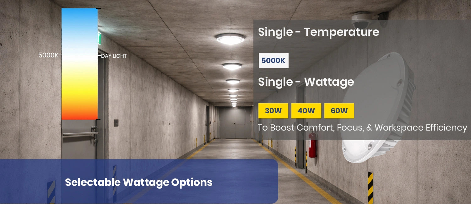 Product A Image