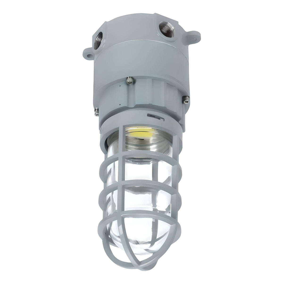LED Explosion Proof Jelly Jar Light - 20W - 2800 Lumens - I Series, 5000K- Non Dimmable, AC100-277V - IP66 - Lumens Depot