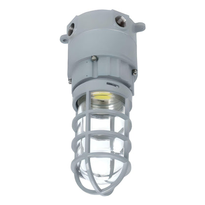 LED Explosion Proof Jelly Jar Light - 20W - 2800 Lumens - I Series, 5000K- Non Dimmable, AC100-277V - IP66 - Lumens Depot