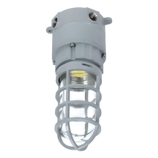 LED Explosion Proof Jelly Jar Light - 20W - 2800 Lumens - I Series, 5000K- Non Dimmable, AC100-277V - IP66 - Lumens Depot