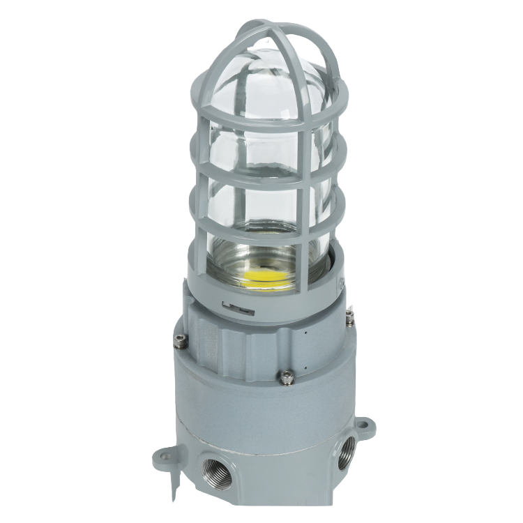 LED Explosion Proof Jelly Jar Light - 20W - 2800 Lumens - I Series, 5000K- Non Dimmable, AC100-277V - IP66 - Lumens Depot