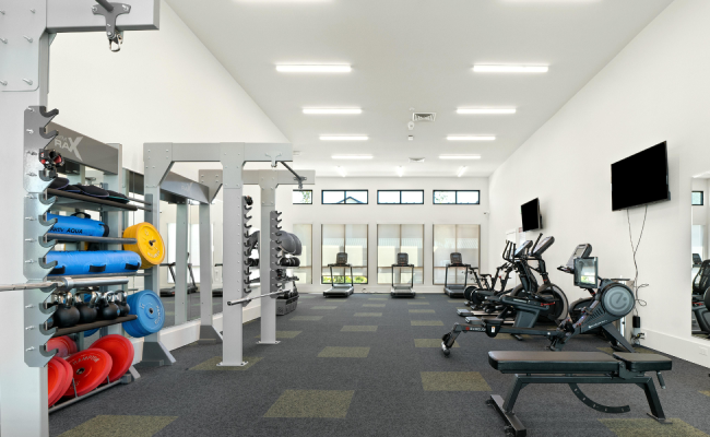Gymnasium  Lights-collection_banner