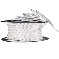 LED Dimmer for ProSelect Strip - 110V 6x10mm LEDs - LED Strip Light Controller