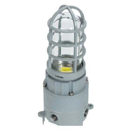 LED Explosion Proof Jelly Jar Light - 20W - 2800 Lumens - I Series, 5000K- Non Dimmable, AC100-277V - IP66 - Lumens Depot