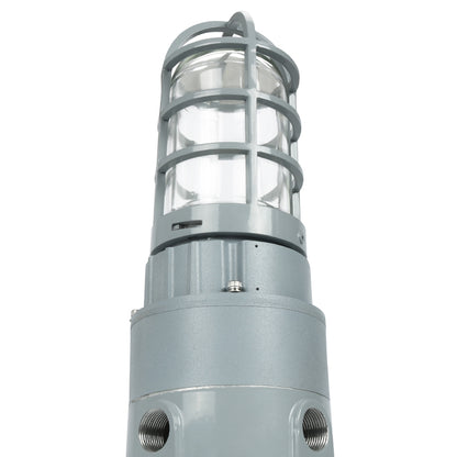 LED Explosion Proof Jelly Jar Light - 20W - 2800 Lumens - I Series, 5000K- Non Dimmable, AC100-277V - IP66 - Lumens Depot