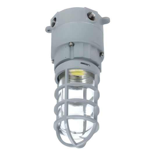 LED Explosion Proof Jelly Jar Light - 20W - 2800 Lumens - I Series, 5000K- Non Dimmable, AC100-277V - IP66 - Lumens Depot