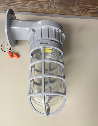 LED Explosion Proof Jelly Jar Light (Wall Mount), O Series, 20W, 5000K, 2800 Lumens, 100-277 VAC - Lumens Depot